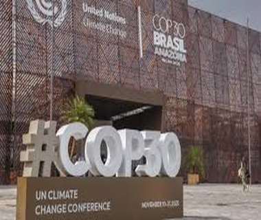 CeFiS na COP30